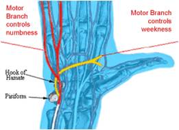 אופניים כפפות Body Geometry